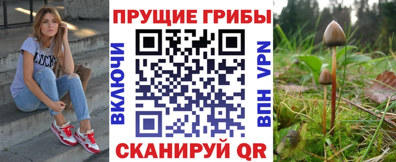 Галлюциногенные грибы Cubensis  Томилино 